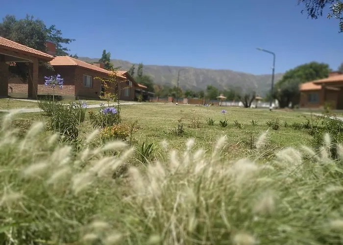 El Cantar de los Pájaros Merlo