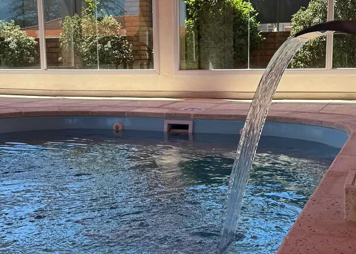 El Cantar de los Pájaros Merlo